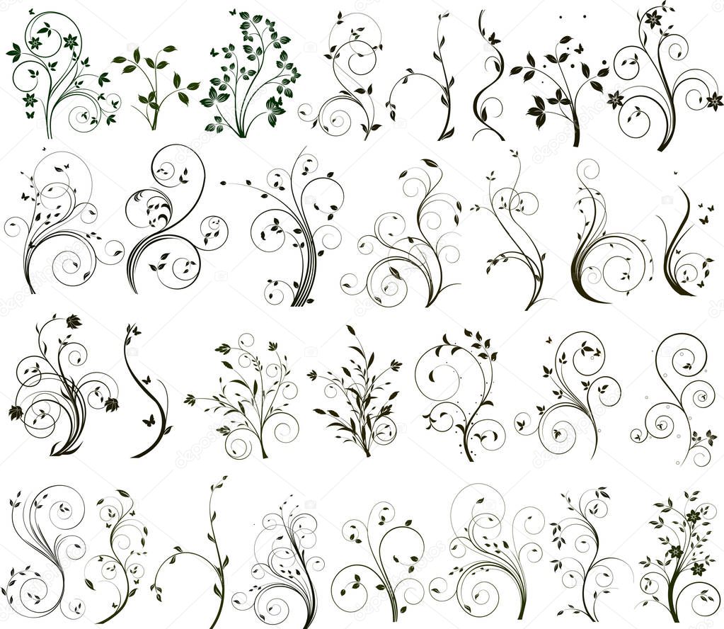 Floral vector design set