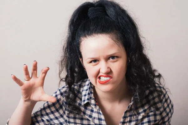 Girl Gesture Cats Studio Background — Stock Photo, Image