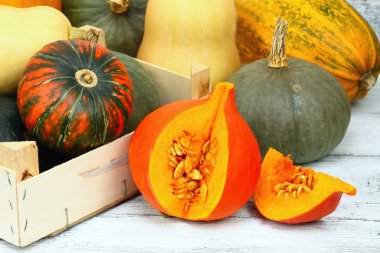 Şükran kabak sonbahar arka plan