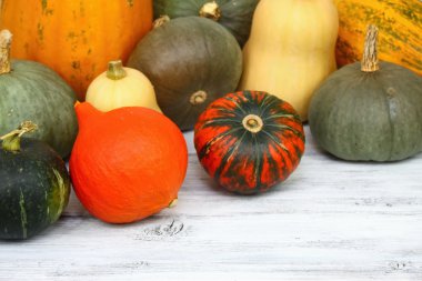 Şükran kabak sonbahar arka plan