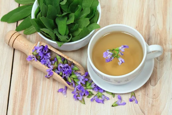 Salbei Kräutertee, Salvia officinalis — Stockfoto