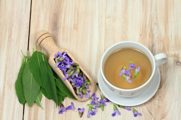 Мудрый травяной чай, Сальвия лекарственная — стоковое фото