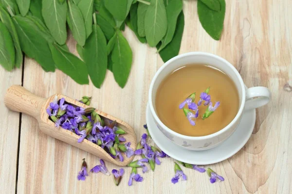 Salbei Kräutertee, Salvia officinalis — Stockfoto