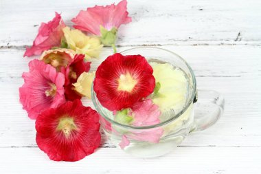 İnfüzyon Gül Fatma çiçek, Alcea rosea üzerinden yapmak