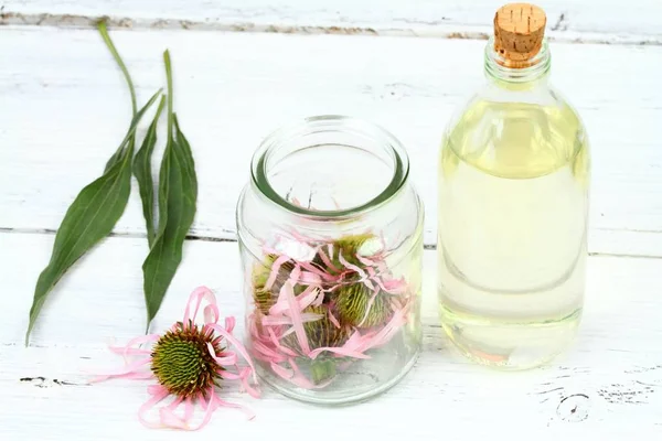 Making tincture from flower  heads of narrow leaf purple cone flower — Stock Photo, Image