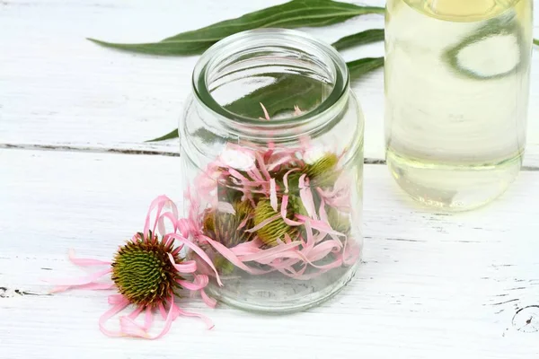 Making tincture from flower  heads of narrow leaf purple cone flower — Stock Photo, Image