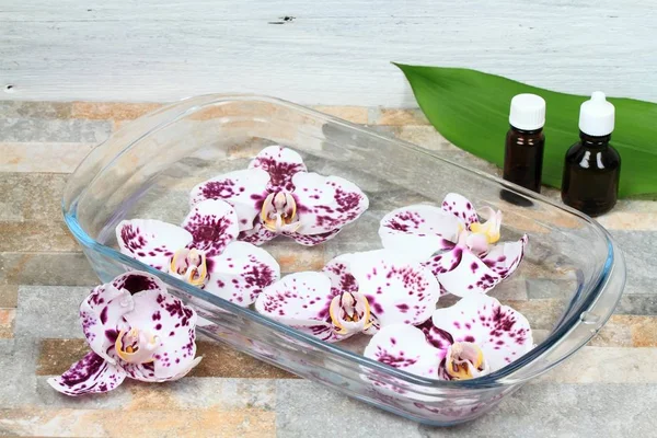 Создание Бах цветок лекарство от красивых орхидей — стоковое фото