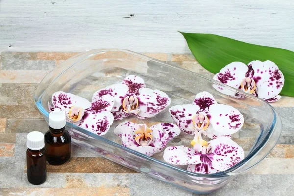 Att göra Bach flower remedy från vackra orkidéer — Stockfoto