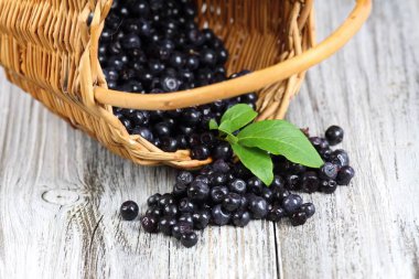 Sepet içinde taze yaban mersini 