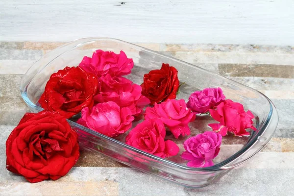 Создание Бах цветок лекарство из красивых роз — стоковое фото