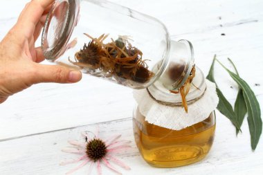 Tentür üzerinden çiçek başları dar yaprak mor koni çiçek filtreleme