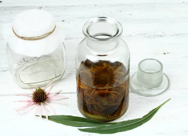 Tincture from flower  heads of narrow leaf purple cone flower ready for filtering. — Stock Photo, Image