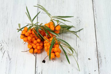 Deniz buck diken çilek, ahşap tahta üzerinde iğde rhamnoides