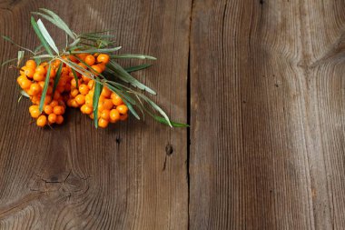 Deniz buck diken çilek, ahşap tahta üzerinde iğde rhamnoides