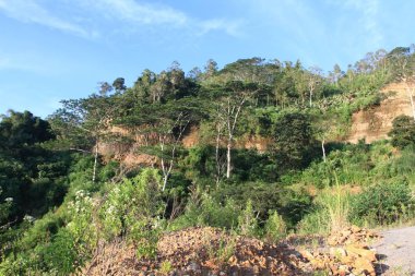 Dağ orman, gökyüzü bulutlu/EC