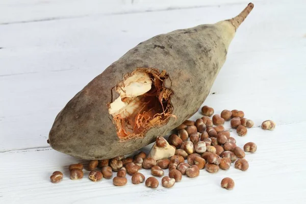 Baobab Frutta Polpa Semi Baobab Adamsonia Digitata Dall Africa Sul — Foto Stock