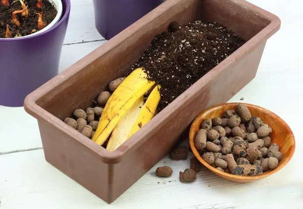 Casca Banana Boa Para Fertilização Vegetal Eco Amigável Maneira Natural — Fotografia de Stock