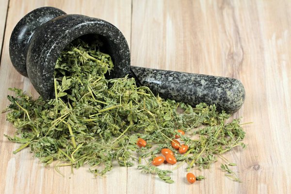 Dried Tribulus terrestris in the mortar and capsules.  Curative herb Tribulus terrestris and  its seeds called devil thorn. 