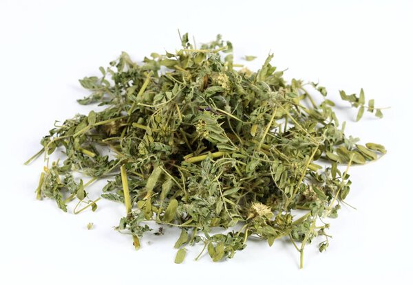 Dried Tribulus terrestris on white background. Curative herb Tribulus terrestris and  its seeds called devil thorn.