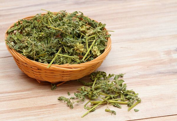 Dried Tribulus terrestris in the bowl.  Curative herb Tribulus terrestris and  its seeds called devil thorn. 