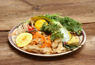 Organik gıda atıkları gübreleniyor. Bahçe gübresi yapmak için iyi. Arta kalanları topluyorum..