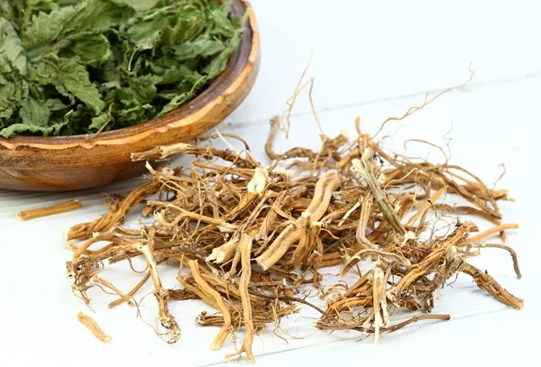 뿌리와 그물에 담근다 Nettle Roots Leaves Good Hair Growing Regeneration — 스톡 사진