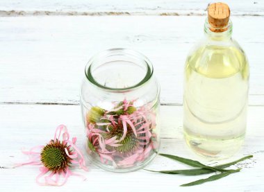 Dar yapraklı mor koni çiçeğinin çiçek başlarından tentür yapmak. Echinacea angustifolia, Echinacea ailesinin en tedavi edici türü..