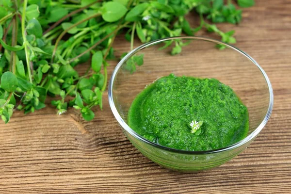 Karışık ve taze civciv, Stellaria medyası, yabani otlar. Güzellik maskesi olarak kullanılmak ya da yenmeye hazır bir kasede yaygın bir civciv..