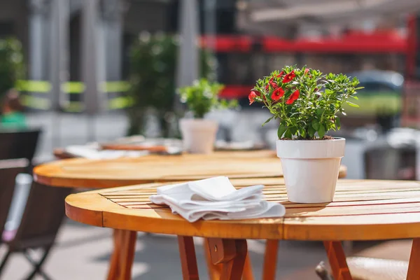 屋外テーブルの上のかわいい鍋植物 ストックフォト
