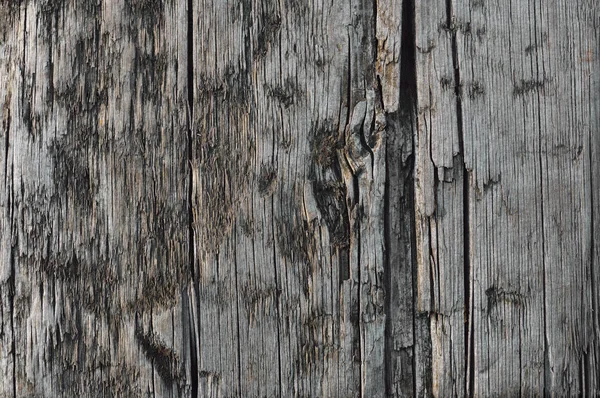 Bordo di legno di abbronzatura grigio naturale resistente alle intemperie, Cracked Ruined Rough Cut Sepia Wood Texture, Grande dettaglio vecchio legno grigio invecchiato sfondo orizzontale macro primo piano, Textured Crack Pattern — Foto Stock