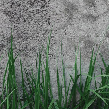 Koyu gri kaba Beton taş duvar doku, yeşil çimen, yatay makro Closeup eski yaşlı yıpranmış detaylı doğal gri rustik aşınmış dokulu arka plan deseni ayrıntı Stonewall, boş boş Vintage Grunge kopya alanı