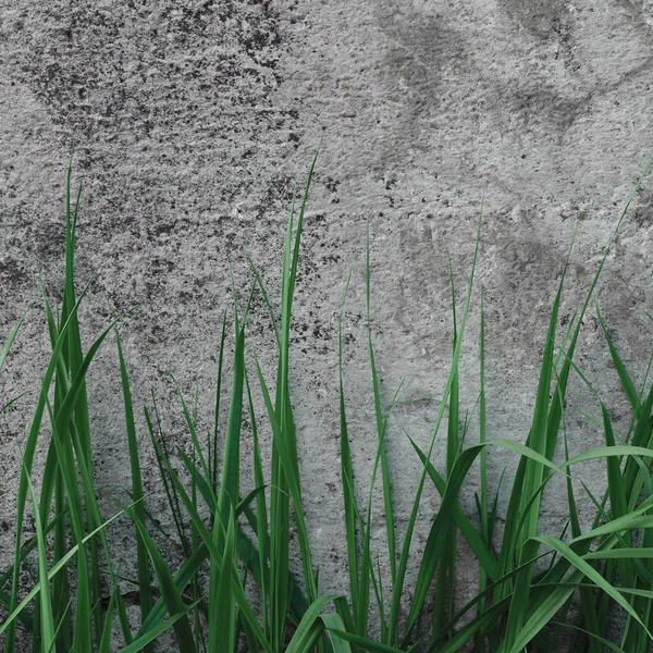 Texture murale en pierre de béton grossier gris foncé, herbe verte, macro-gros plan horizontal Ancien vieillissement altéré détaillé gris naturel rustique texturé Grungy Stonewall Détail du motif de fond, vide vide Vintage Grunge Copier l'espace — Photo