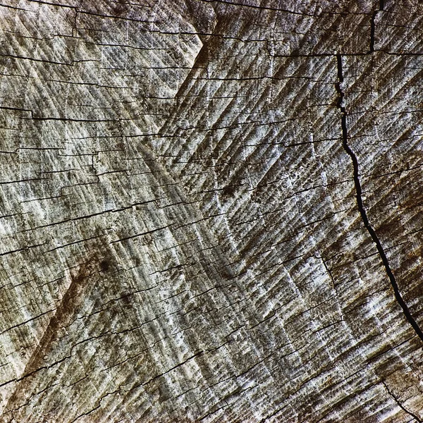 Doğal yıpranmış gri ağaç kütüğü doku kesmek, kereste arka planı gri yatay makro Closeup büyük detaylı yaşlı yaşlı, kırık desen koyu siyah dokulu — Stok fotoğraf