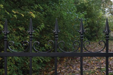 Sahte siyah dekoratif Ferforje çit closeup, sonbahar ağaçlar arka plan, düşen yapraklar, yatay büyük detaylı karanlık sonbahar park sahne