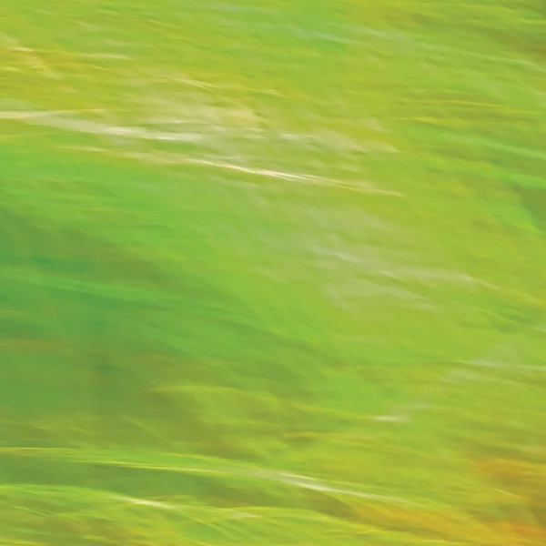 Hareket parlak çayır çimen arka plan, soyut yeşil, sarı, Amber yatay doku desen kopya alanı bulanık — Stok fotoğraf