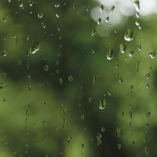 多雨的夏日 潮湿的窗户玻璃上的雨滴 明亮的抽象雨水背景图案细节 宏观特写镜头 详细的绿色 深生动的灰色水滴温柔的 Bokeh 冲积降雨季节的概念 — 图库照片
