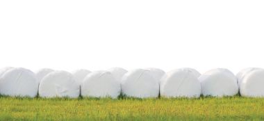 Kaydırılan yığılmış Silaj balya satır, izole yuvarlak beyaz plastik film saman rulo, haylage yığın satırları panorama, yatay otlak closeup, yeşil yaz çayır çimen, yumak kavramı, panoramik kırsal sahne