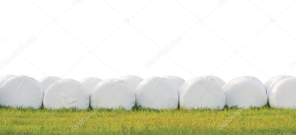 Wrapped stacked silage bales row, isolated round white plastic film hay rolls, haylage stack rows panorama, horizontal grassland closeup, green summer meadow grass, baling concept, panoramic rural scene