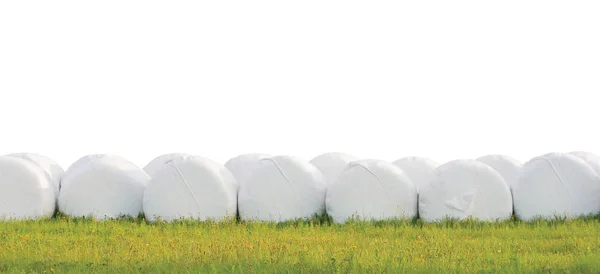 Wrapped stacked silage bales row, isolated round white plastic film hay rolls, haylage stack rows panorama, horizontal grassland closeup, green summer meadow grass, baling concept, panoramic rural scene
