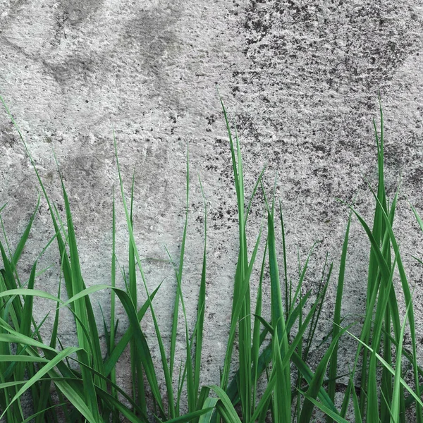 Textura de pared de piedra de hormigón grueso gris oscuro, hierba verde, Macro horizontal Primer plano envejecido envejecido envejecido envejecido detalladamente gris natural rústico textura Grungy Stonewall fondo detalle, vacío vacío Vintage Grunge Copia espacio — Foto de Stock