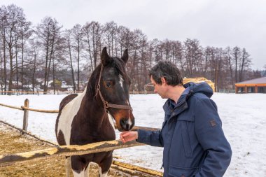 Karlı bir günde çiftlikte at okşayan orta yaşlı yakışıklı bir adam. Kış haftasonu çiftlikte, kır gezisinde. Sağlıklı yaşam tarzı, aktif eğlence, otantik anlar