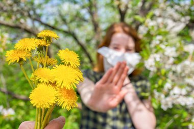 Çiçek açan bitkilere karşı alerji. Bahçede kağıt mendilli ve dur işareti yapan genç bir kadına karahindiba buketi. Çiçek açan ağaçlarda hapşıran genç kız. Bukete seçici odaklanma