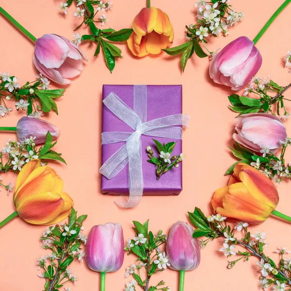 Rundrahmen Aus Bunten Rosa Und Orangen Tulpen Mit Kirschblütenzweigen Auf — Stockfoto