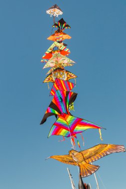 Renkli uçurtma plajda mavi bir gökyüzü gün güneşli yaz karşı havada uçan