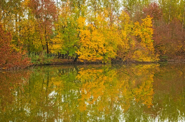 Ładny jesienny sceny — Zdjęcie stockowe
