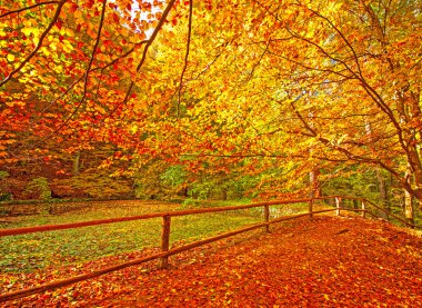 güzel sonbahar sahne