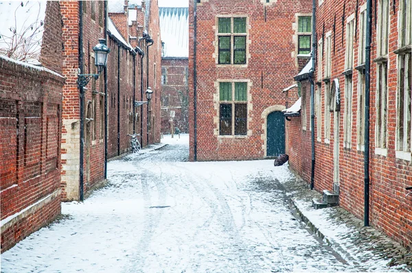 Leuven tarihi parçası evlerde — Stok fotoğraf