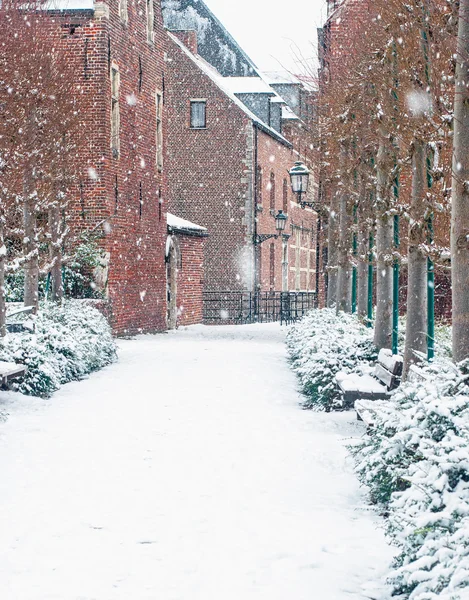 Huizen in het historische deel van Leuven — Stockfoto