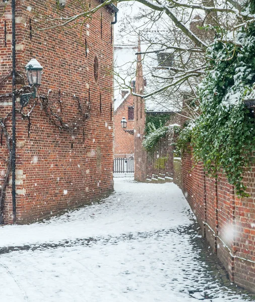 Maisons dans la partie historique de Louvain — Photo