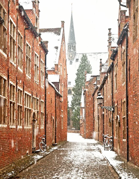 Leuven tarihi parçası evlerde — Stok fotoğraf